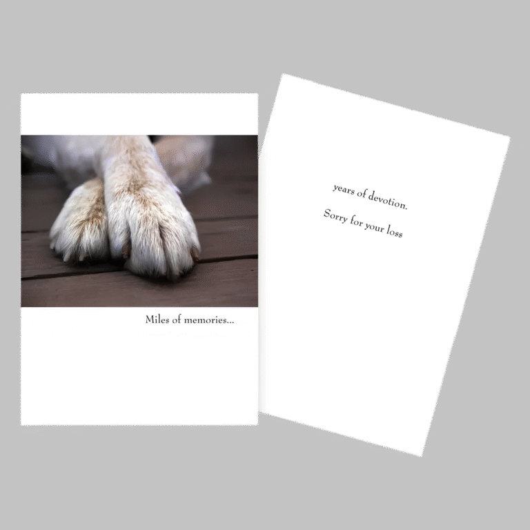 cat silhouette pet sympathy card