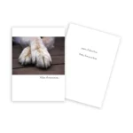 dog paw pet sympathy