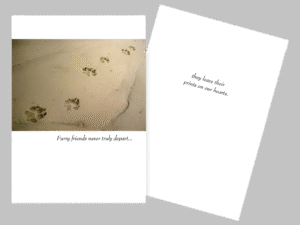 cat silhouette pet sympathy card