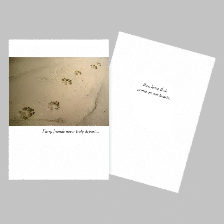 cat silhouette pet sympathy card