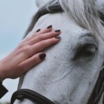A close-up portrait of a woman's hand gently touching a white horse.