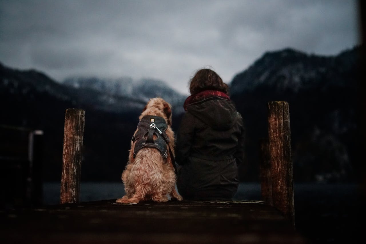 A woman and her dog sit together on a dock, embracing solitude.
