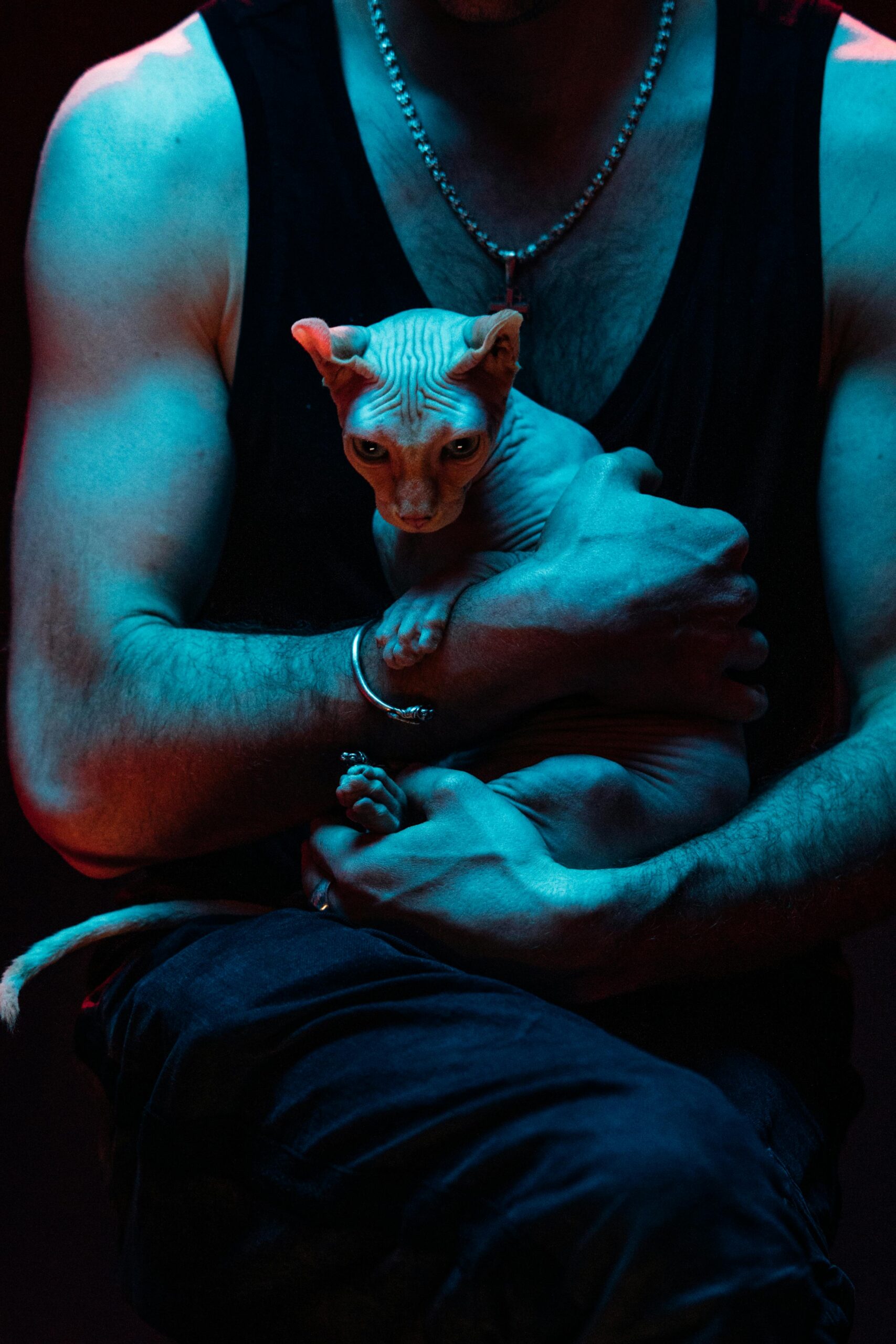 A muscular man in a tank top holds a sphynx cat under blue light, creating a dramatic effect.