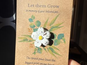 Seed Bomb Wildflower Keepsake